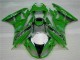 Carene Kawasaki ZX6R 2009-2012 - Verde Nero LeoVince